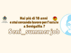 Seni_summer job