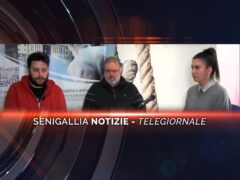 videogiornale radici lega