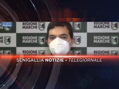 videogiornale acquaroli