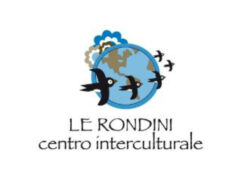 le rondini Senigallia