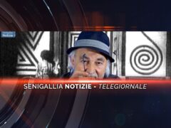 videogiornale enzo,carli