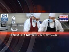 videogiornale panzini