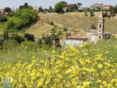 Foto di Sabina Caldarella