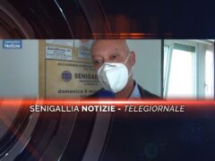 videogiornale pugilato grande max