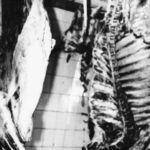 Mario Giacomelli