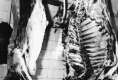 Mario Giacomelli