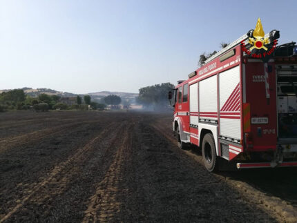 Incendio a Corinaldo: a fuoco campo di grano