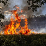 Incendio nella valmisa FOTO di  Rolf Schertenleib, 