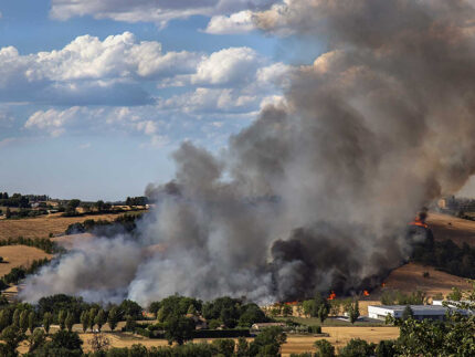 Incendio nella valmisa FOTO di  Rolf Schertenleib, 