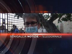 videogiornale bandiera lilla