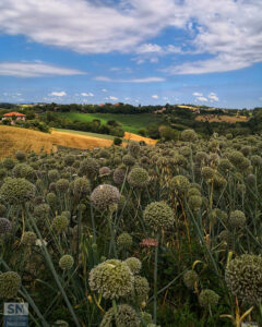 Foto di Floriana Giacchini