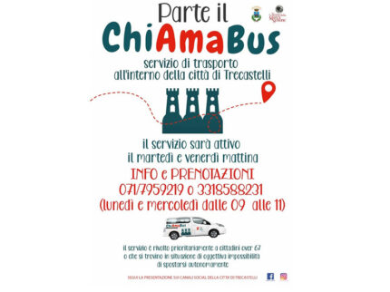 ChiAmaBus