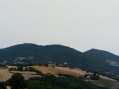 Monte Sant'Angelo - Arcevia