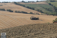 Foto di Simone Paolasini