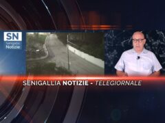 senigallia-notizie-telegiornale