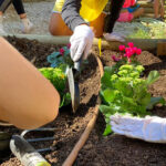 "Urban Garden"