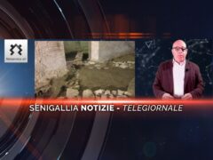 senigallia notizie telegiornale