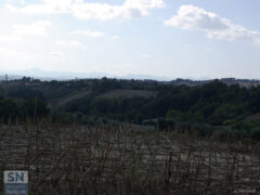 Le colline di Senigallia - Campi autunnali - Foto di Luca Ceccacci