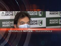 senigallia notizie telegiornale