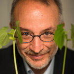Stefano Mancuso