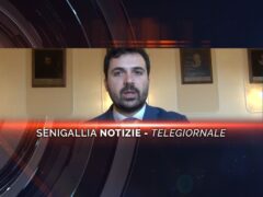 senigallia notizie telegiornale