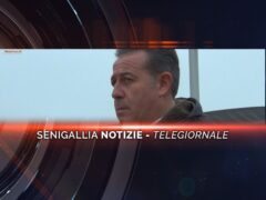 senigallia notizie telegiornale