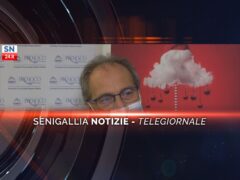 senigallia notizie telegiornale