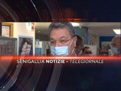 senigallia notizie telegiornale