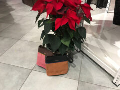 Shopping di Natale al GDA Stockhouse di Montignano di Senigallia