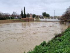 Piena del fiume Misa 11 dicembre 2021 - ponte Portone