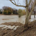 Piena del fiume Misa 11 dicembre 2021 - nei pressi di ponte Zavatti