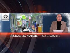 senigallia notizie telegiornale