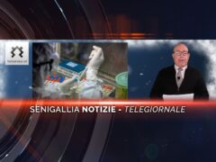 senigallia notizie telegiornale