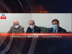 senigallia notizie telegiornale