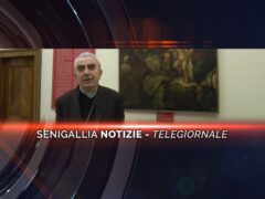 senigallia notizie telegiornale