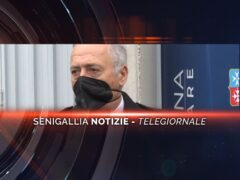 senigallia notizie telegiornale