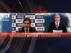 senigallia notizie telegiornale