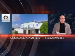 senigallia notizie telegiornale