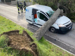 Pino caduto su automezzo lungo stradone Misa a Senigallia