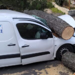 Pino caduto su automezzo lungo stradone Misa a Senigallia