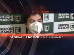 senigallia notizie telegiornale