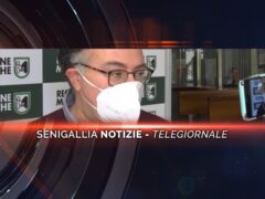 senigallia notizie telegiornale