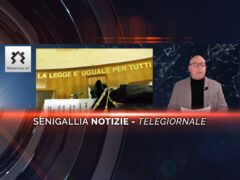 senigallia notizie telegiornale