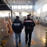 Controlli dei Carabinieri svolti con il Nucleo Ispettorato del Lavoro di Ancona