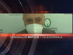 senigallia notizie telegiornale