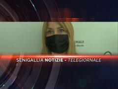 senigallia notizie telegiornale