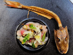 Carpaccio di gallinella con gocce di propini e rapa rossa, con chifonade di finocchio