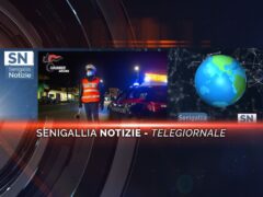 senigallia notizie telegiornale