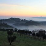 campagna