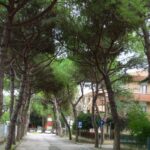 Viale Garibaldi